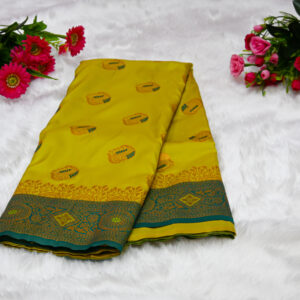 Border saree
