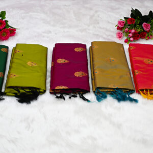 Border saree